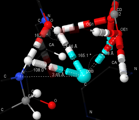 ligand's hbond